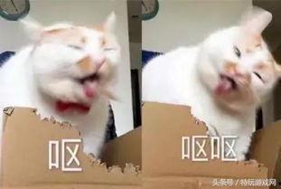 狗子黑料爆料视频大全下载,视频大全下载背后的真相  第2张